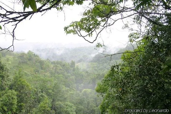 The Canopy Rainforest Treehouses & Wildlife Sanctuary Tarzali Lodge