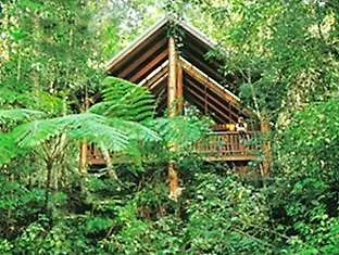The Canopy Rainforest Treehouses & Wildlife Sanctuary Tarzali