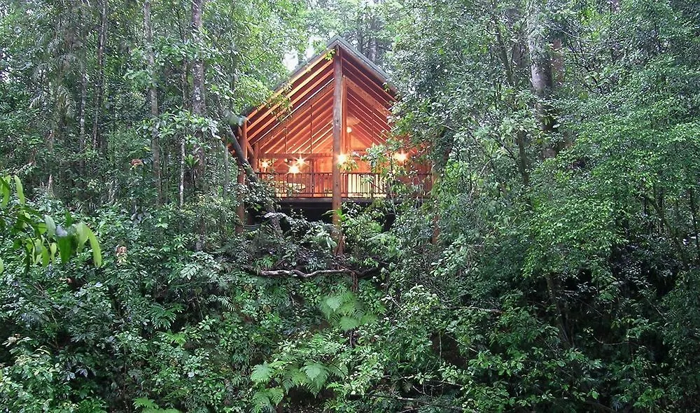 Lodge The Canopy Rainforest Treehouses & Wildlife Sanctuary Tarzali