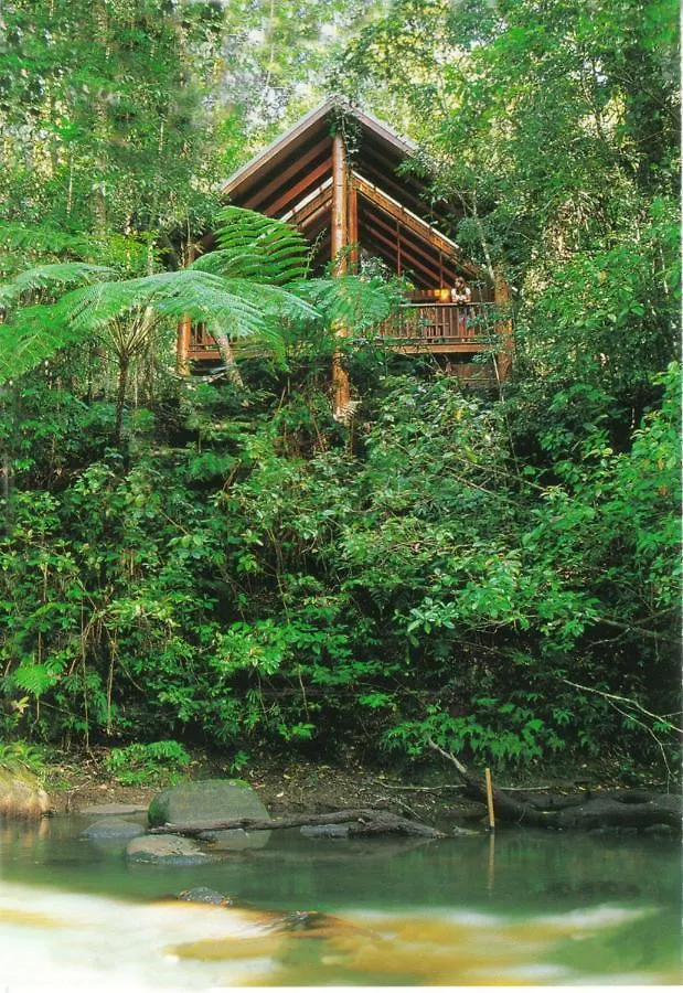 The Canopy Rainforest Treehouses & Wildlife Sanctuary Tarzali Lodge