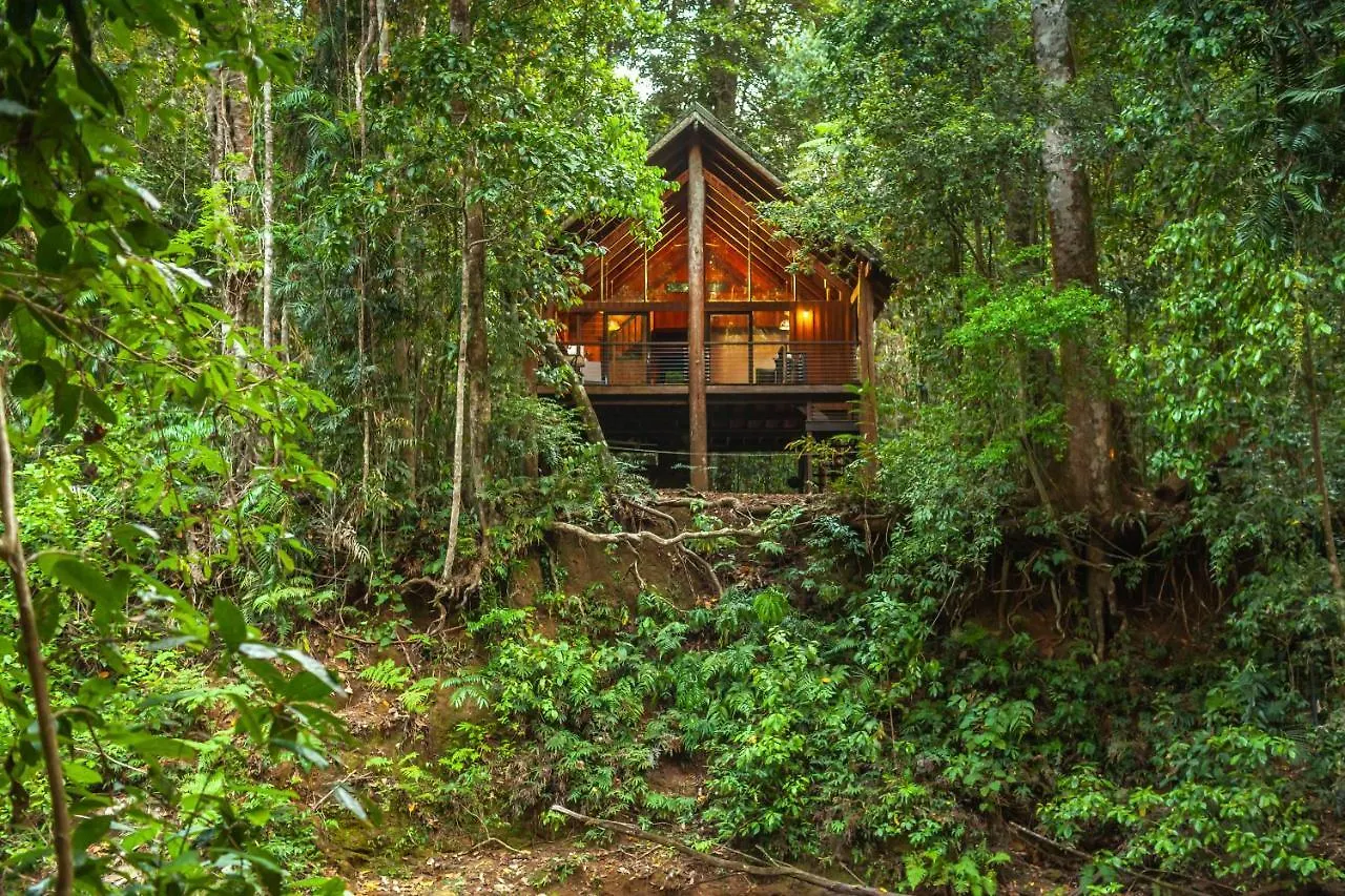 Lodge The Canopy Rainforest Treehouses & Wildlife Sanctuary Tarzali