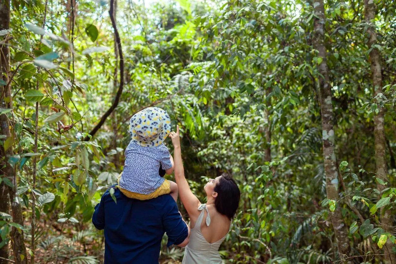 The Canopy Rainforest Treehouses & Wildlife Sanctuary Tarzali Lodge