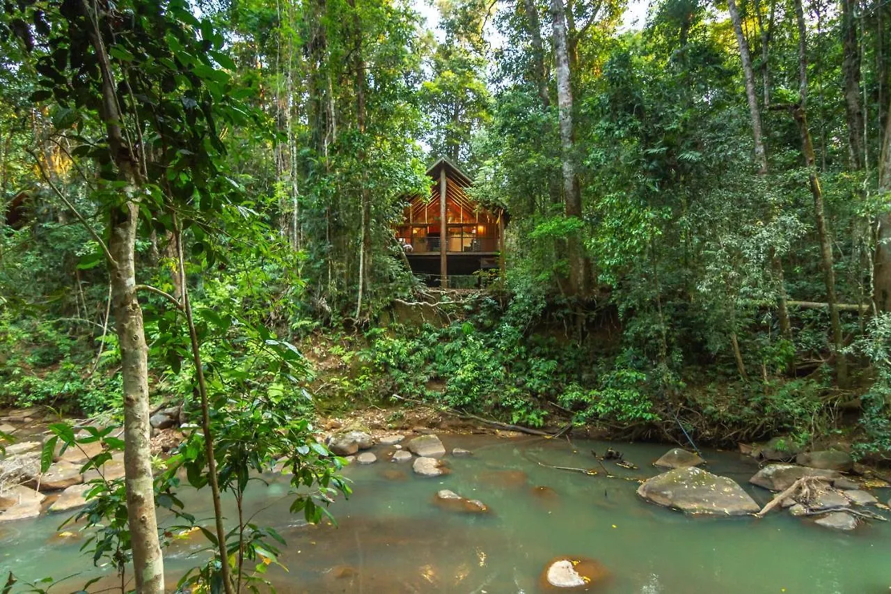 The Canopy Rainforest Treehouses & Wildlife Sanctuary Tarzali Lodge