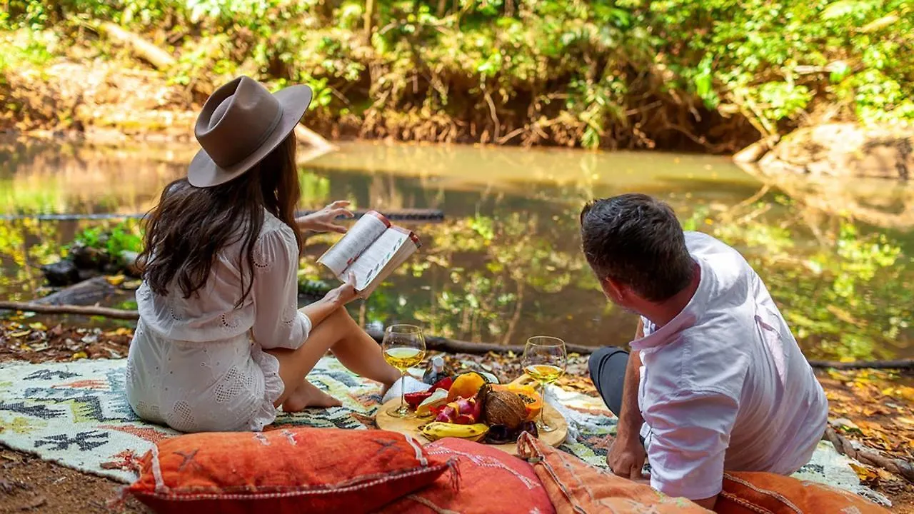 Lodge The Canopy Rainforest Treehouses & Wildlife Sanctuary Tarzali Australia