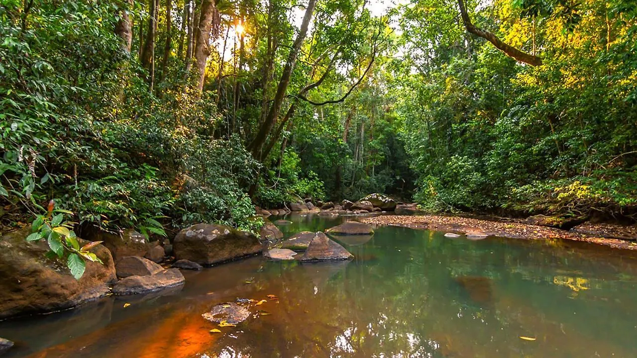 Lodge The Canopy Rainforest Treehouses & Wildlife Sanctuary Tarzali Australia