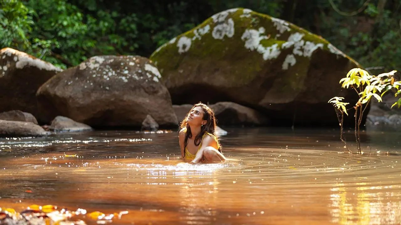 Lodge The Canopy Rainforest Treehouses & Wildlife Sanctuary Tarzali