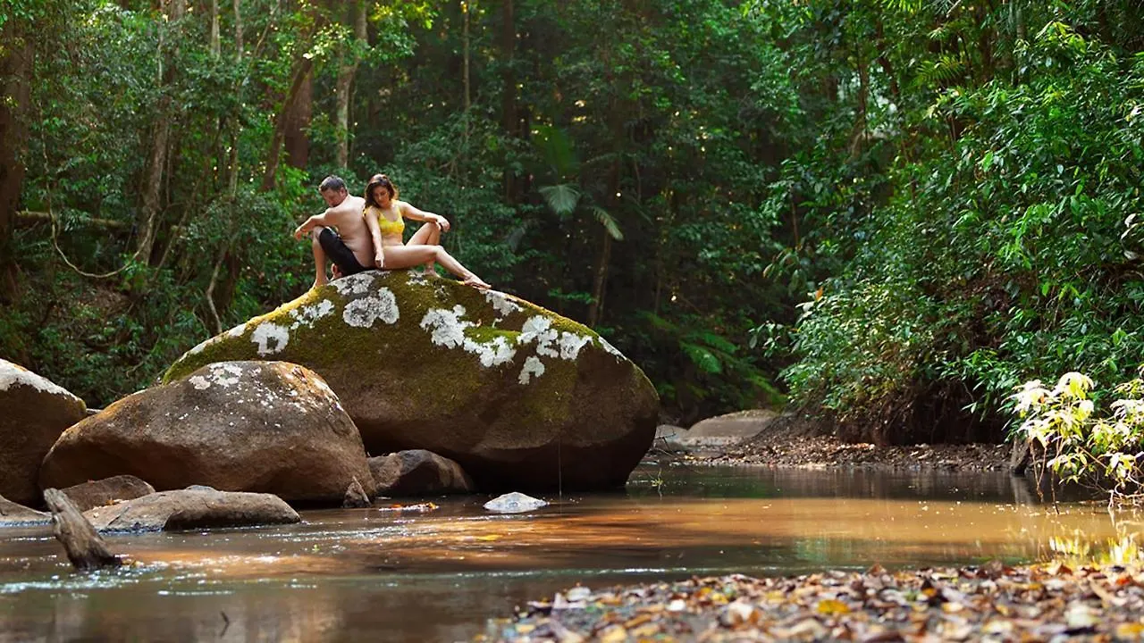 The Canopy Rainforest Treehouses & Wildlife Sanctuary Tarzali