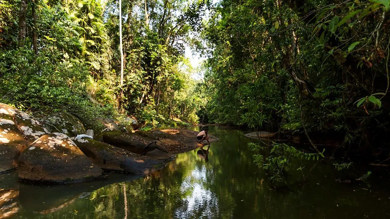 Lodge The Canopy Rainforest Treehouses & Wildlife Sanctuary Tarzali