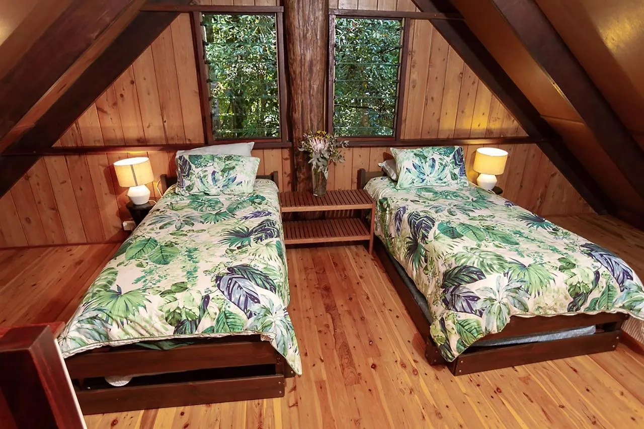 Lodge The Canopy Rainforest Treehouses & Wildlife Sanctuary Tarzali Australia