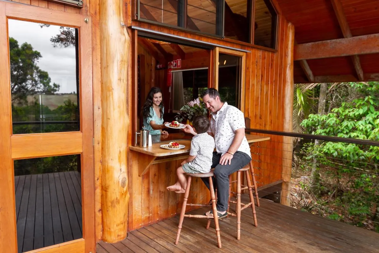 Lodge The Canopy Rainforest Treehouses & Wildlife Sanctuary Tarzali